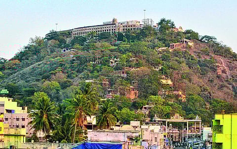 பழநி கோயில் நிர்வாகப் பணிகள் பாதிப்பு; பக்தர்கள் அவதி