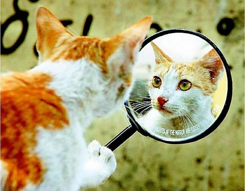 உங்களுக்கு நேரம் இல்லையா?