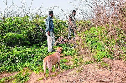 கடலோரக் கிராமங்களில் வெடிகுண்டு வேரூன்ற காரணம் என்ன?