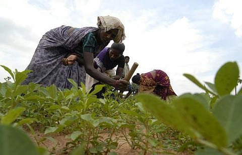 கிராமங்கள் ஏன் வெறிச்சோடுகின்றன?