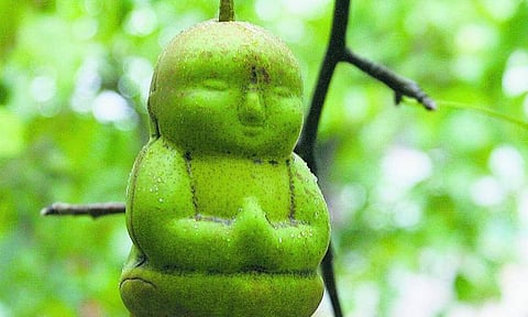 குருவுக்குப் பிடித்த திருடன்