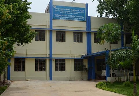 மீன், கோழி, உணவு... சுவையாகப் படியுங்கள்!