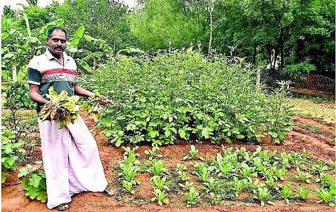 நெல்லை: கன்னியாகுமரியில் ஒரு ‘நம்மாழ்வார்’