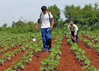 வேலைக்கு உத்தரவாதம் தரும் வேளாண் படிப்புகள்