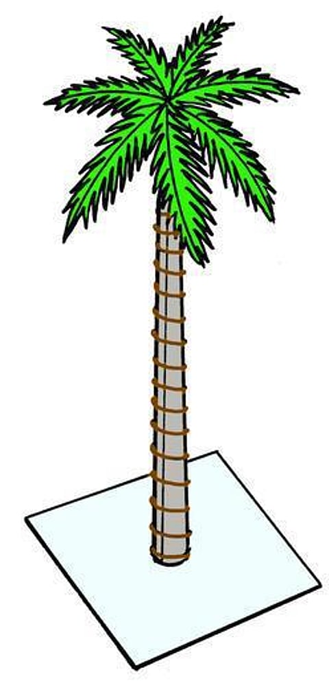 தென்னை மரம் - நீங்களே செய்யலாம்