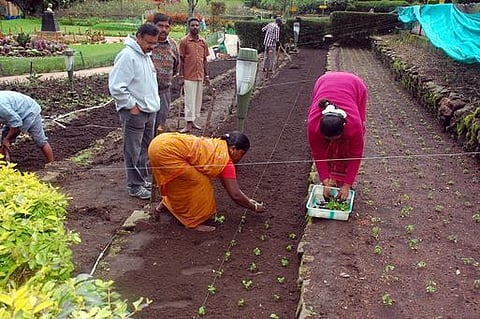 மலர் கண்காட்சிக்குத் தயாராகுமா பிரையண்ட் பூங்கா?
