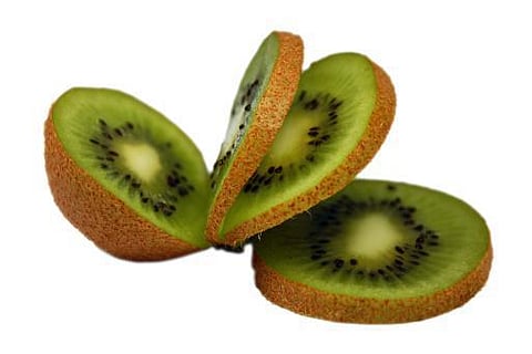 ஒரு சொல் பல பொருள்