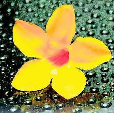 மகனுக்கு புகன்ற நீதி