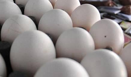 முட்டை விலை குறைத்து வழங்க இயலாது - என்இசிசி மண்டலத் தலைவர் அறிவிப்பு