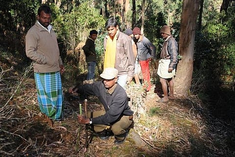 உதகையில் சிறுத்தை அச்சுறுத்தல்: ஒரே வாரத்தில் இருவர் பலி