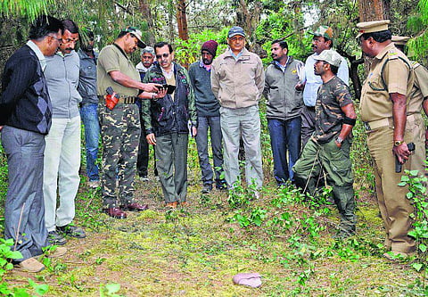 வனவிலங்கு அச்சுறுத்தலில் தொட்டபெட்டா கிராமம்: 24 மணி நேர கண்காணிப்புக்கு உத்தரவு