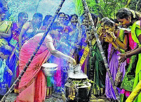 பொங்கலும் புதிரும்