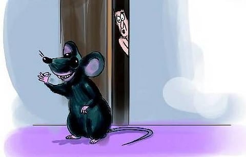 எலி மை எனிமி