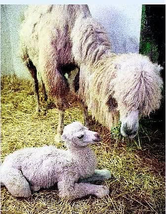 உறவுகள் மேம்பட விட்டுக்கொடுங்கள்