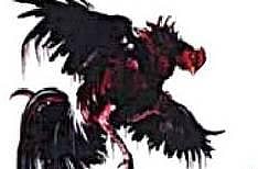 ஆந்திராவில் ஆடுகளம் - சேவல் சண்டை போட்டியில் ரூ.500 கோடிக்கு பந்தயம்