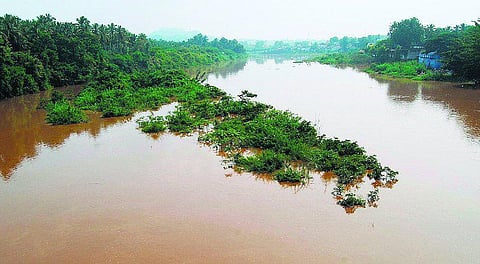 கோவை: மாசு பரிதவிப்பில் பவானி நதி!