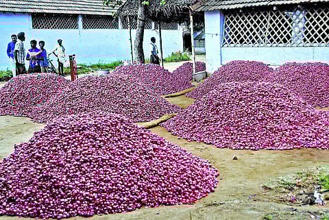 திண்டுக்கல் சந்தையில் ரூ.1 கோடி வெங்காயம் தேக்கம்: வியாபாரிகள் போராட்டத்தால் விவசாயிகள் மறியல்