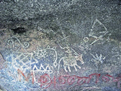 கிருஷ்ணகிரி பாறை ஓவியத்தில் கழுதை உருவம்!: 2500 ஆண்டுகளுக்கு முற்பட்டது