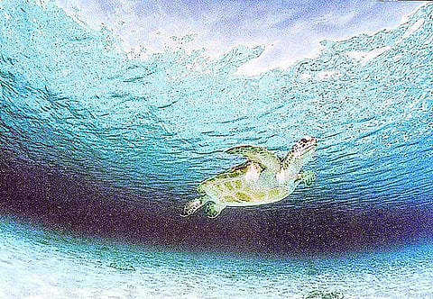 நீல நிற வைரம்