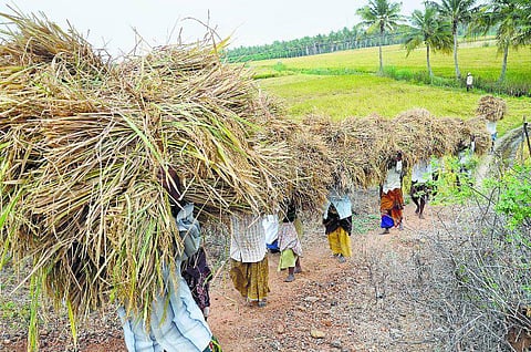 நாகை: விளைபொருள் சந்தைப்படுத்த ‘உழவர் குழுமம்’