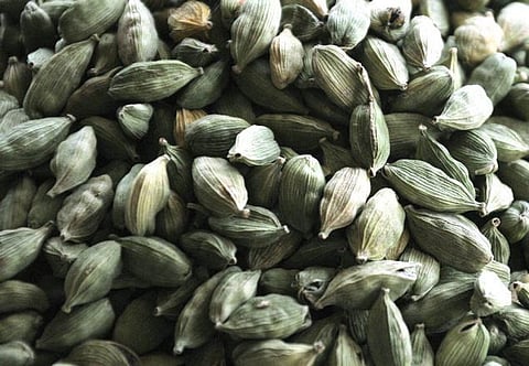 நறுமணப் பொருட்களின் ஏற்றுமதி 31% உயர்வு