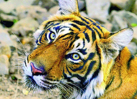 அத்துமீறல்களை நியாயப்படுத்தலாமா?