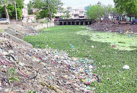 நெல்லை: ஆகாயத்தாமரை, ஆகாத பாலித்தீனால் பாளையங்கால் பாழ்: 10 ஆயிரம் ஏக்கர் கடைமடை பாசன விவசாயிகள் கண்ணீர்