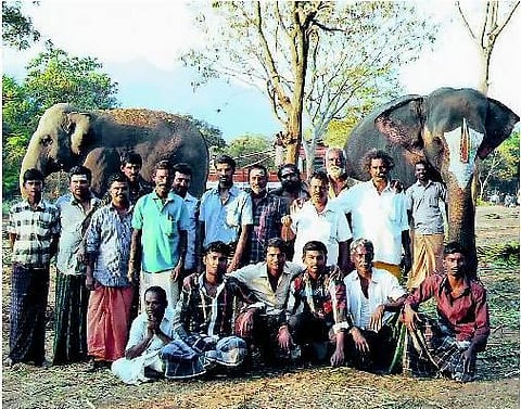 கோவை: பாகன்களின் நீங்காத நினைவுகள்