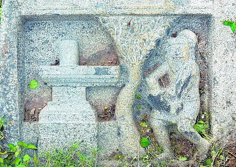 நள்ளிரவில் பூஜை மரமே கடவுள்