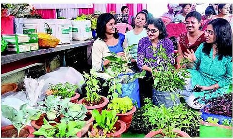 இயற்கை விவசாயத்தை ஊக்குவிக்க சலுகைகள்- கர்நாடகாவில் குறைந்த வட்டியில் கடன், விவசாய கடன் தள்ளுபடி