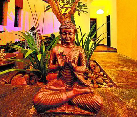 இயற்கையைப் போற்றிய புத்தர்