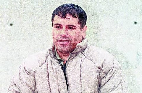 எல் சாப்போ கதை