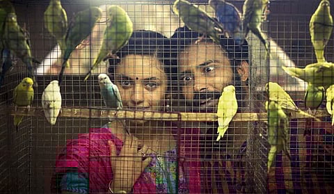 திரையிசை: குக்கூ