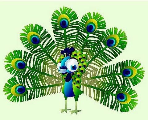 தேசியப் பறவை நானே!