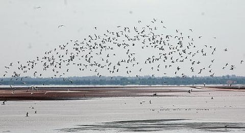 உங்க தொகுதி எப்படி இருக்கு? - செய்யூர் (தனி)