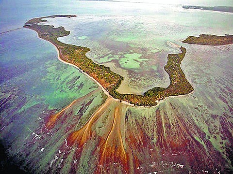 மன்னார் வளைகுடாவில் தவிக்கும் காவலர்கள்