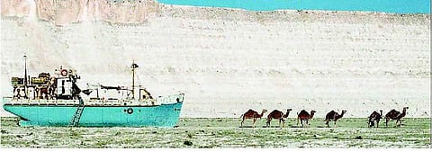 சர்வதேச சினிமா: கடலைத் தேடி