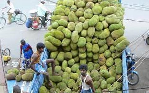 உங்க தொகுதி எப்படி இருக்கு? - பன்ருட்டி