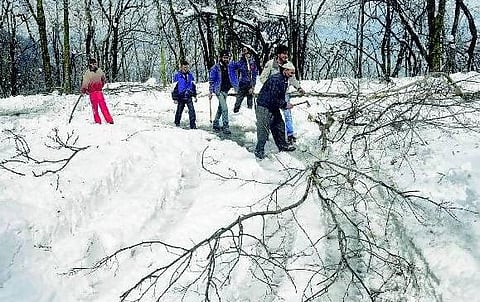 காஷ்மீரில் திடீர் பனிச்சரிவு வீடுகள் இடிந்தன; 12 பேர் பலி