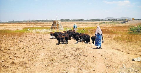 வேலைவாய்ப்பு இல்லாமல் நாடோடிகளான தருமபுரி மக்கள்!