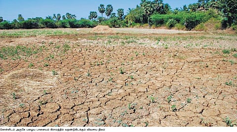 வறட்சியும் வெள்ளமும் புரட்டிப்போடும் மயிலாடுதுறை!