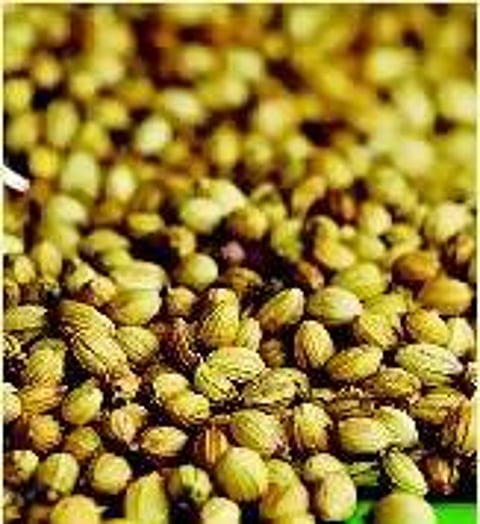 உணவே மருந்து: மல்லி விதை மகிமை