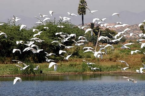 உங்க தொகுதி எப்படி இருக்கு? - நிலக்கோட்டை (தனி)