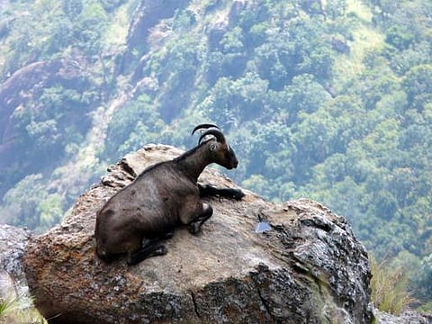 உங்க தொகுதி எப்படி இருக்கு? - ஸ்ரீவில்லிபுத்தூர் (தனி)
