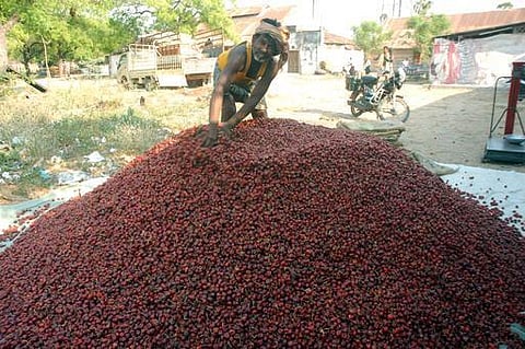 உங்க தொகுதி எப்படி இருக்கு? - விளாத்திக்குளம்