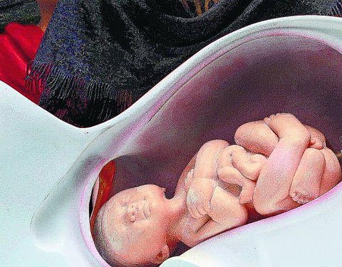 கருவில் உள்ள குழந்தைகளை அச்சுறுத்தும் வேதிப்பொருட்கள்