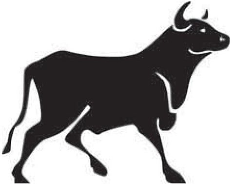 உச்சத்தில் பங்குச் சந்தை குறியீட்டெண்