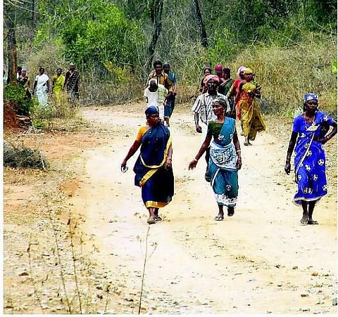 ஈரோடு மாவட்ட மலை கிராமங்களில் நூற்றுக்கணக்கானோர் வாக்களிக்கவில்லை: வாக்காளர் பட்டியலில் பெயர் இல்லாததால் ஏமாற்றம்