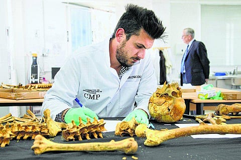 மனிதனைப் பற்றிக் கற்க ஒரு படிப்பு