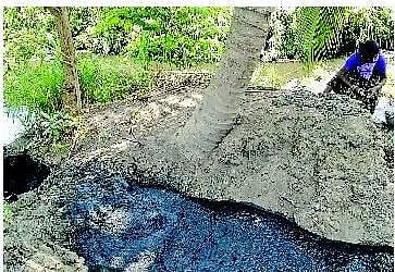 சாக்கடையில் உயிர் பிழைக்கும் `தங்கங்கள்